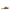 MODARE MULE LOAFERS 7505.335.31230 en color Marron - vista 1