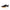 UNDER ARMOUR CHARGED PURSUIT 4 - vista lateral